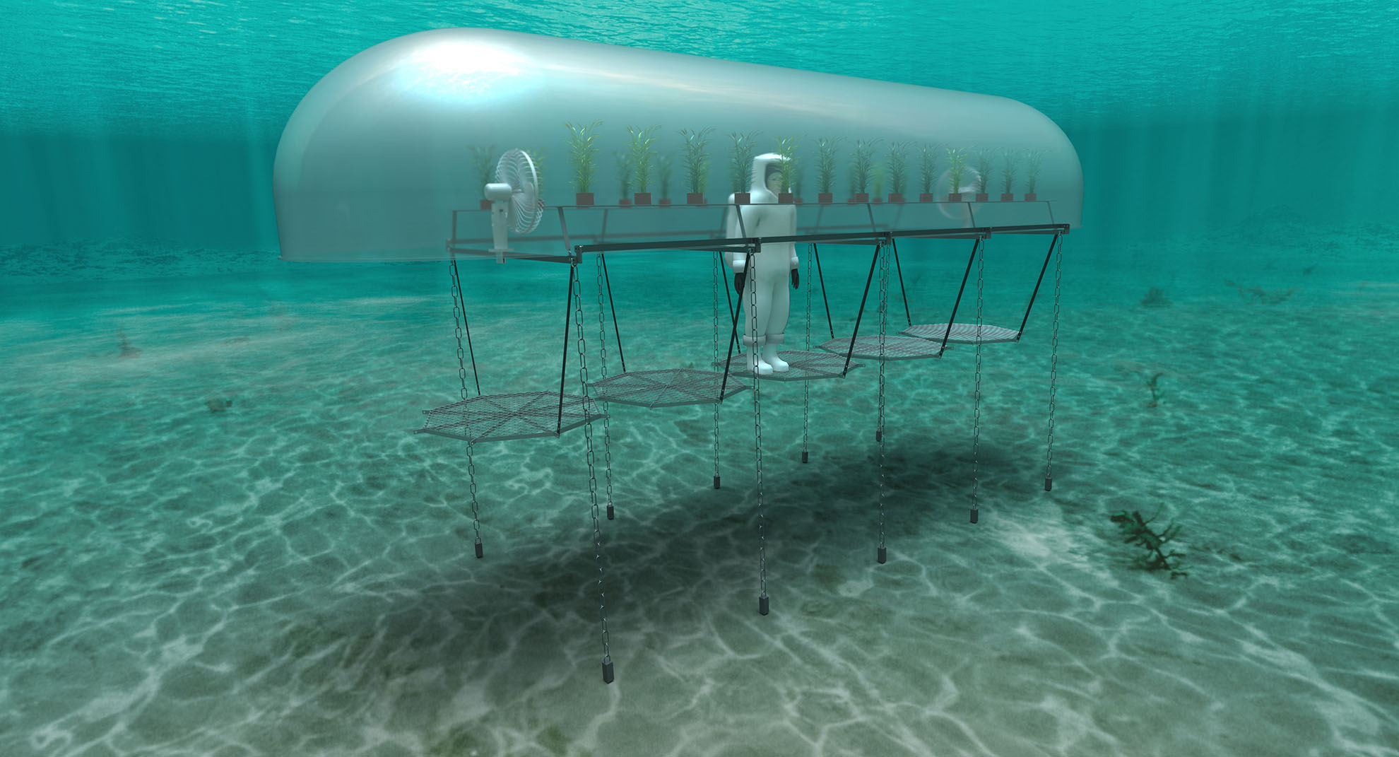 an underwater farming revolution with digital twin solutions